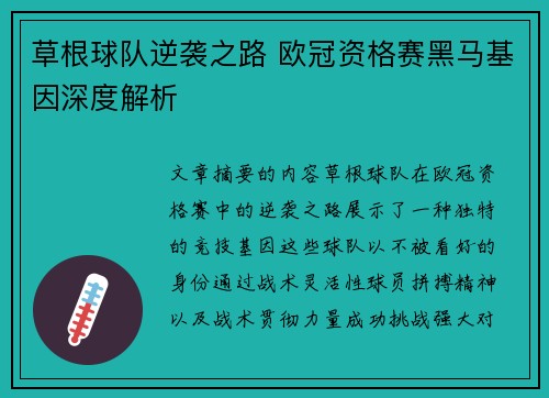 草根球队逆袭之路 欧冠资格赛黑马基因深度解析